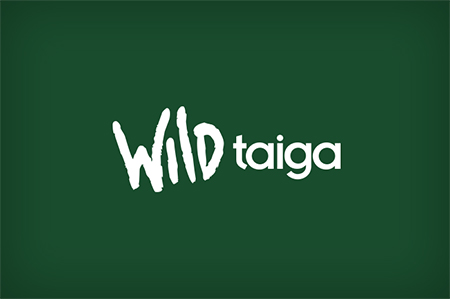 Wild Taiga