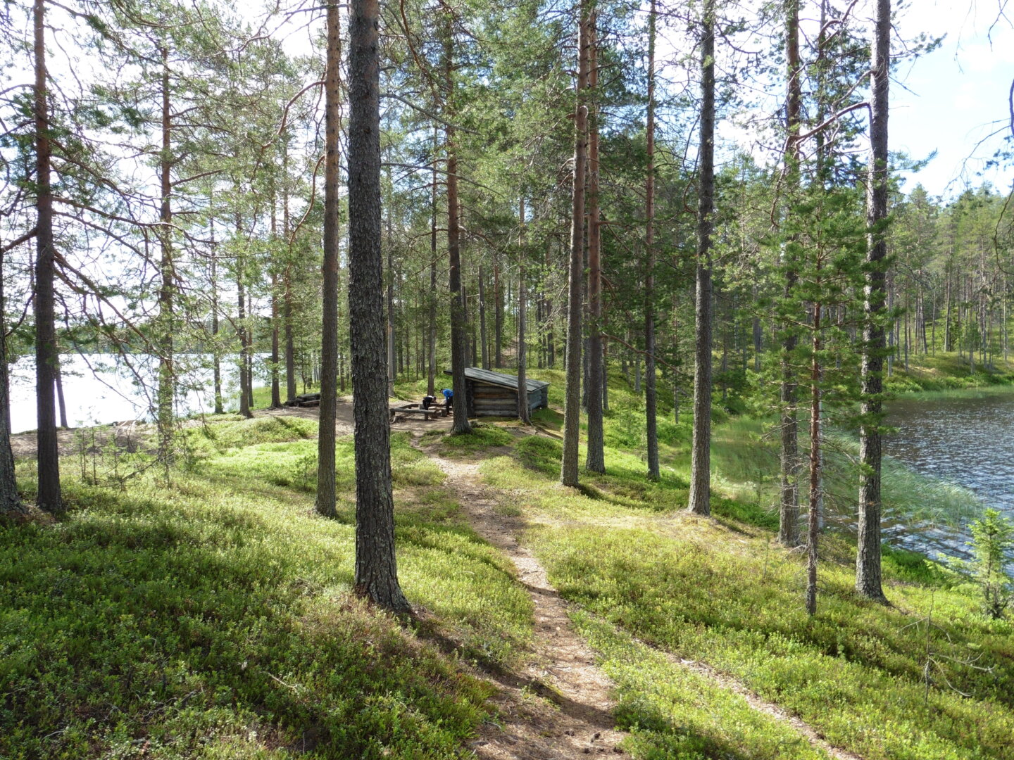 A lean to shelter on a nice spot on the ridge